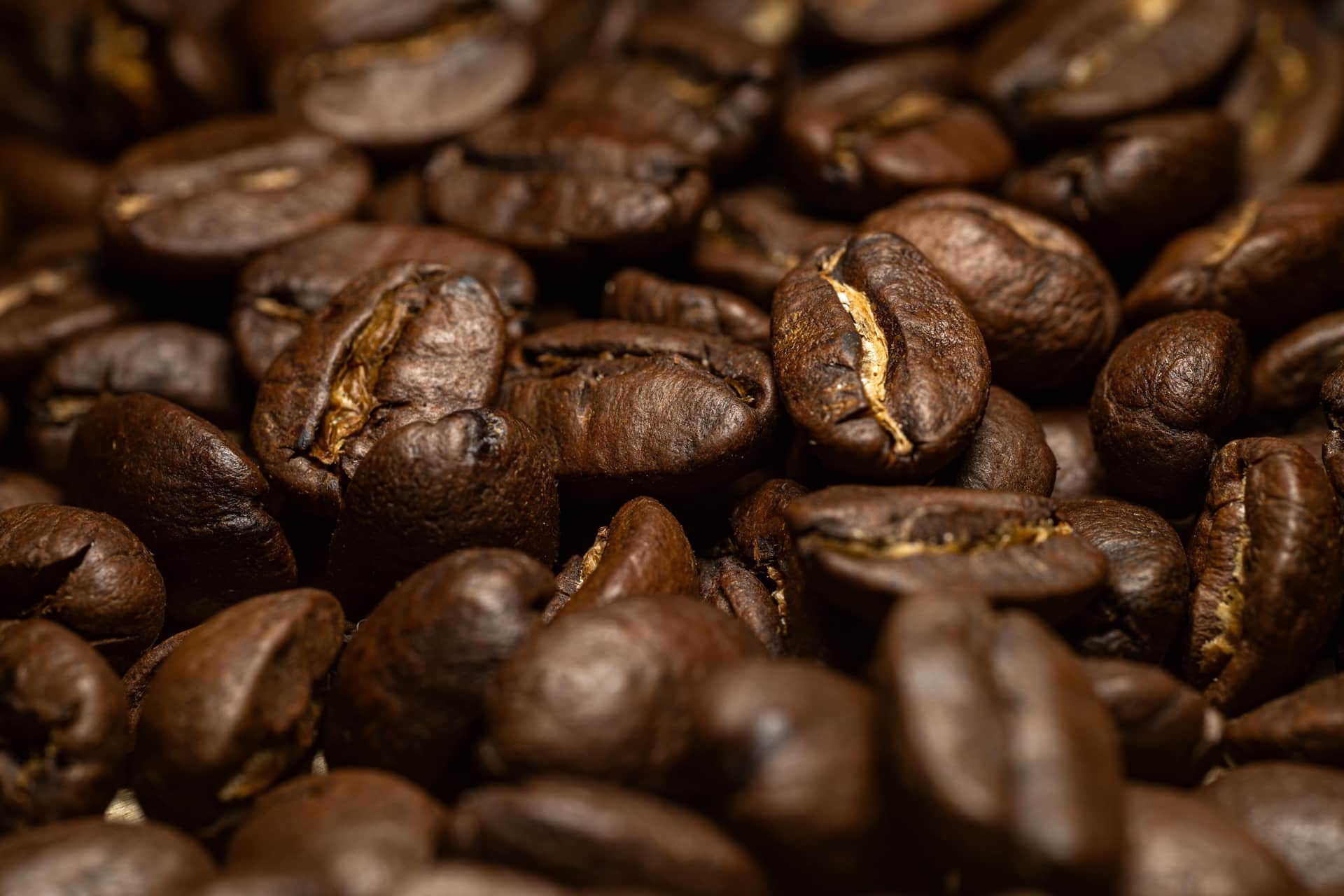Roasted coffee beans photographed close up